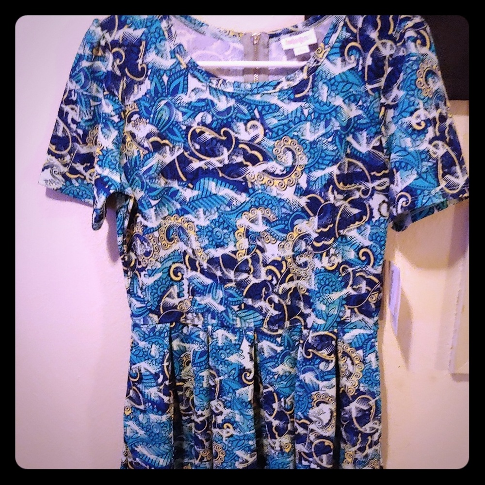 Large Lularoe Amelia